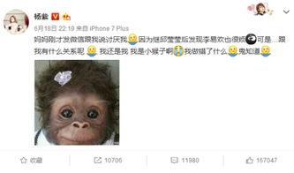 杨紫微博爆料事件最新